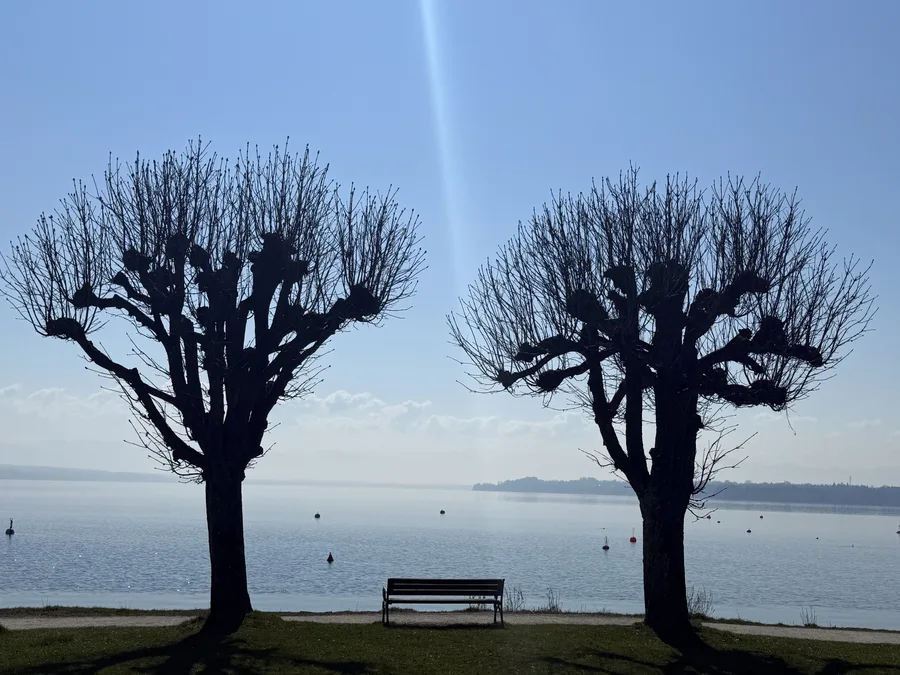 Zwei Linden am Seeufer, dazwischen eine leere Bank mit Blick über das Wasser, ein Lichtstrahl fällt vom Himmel