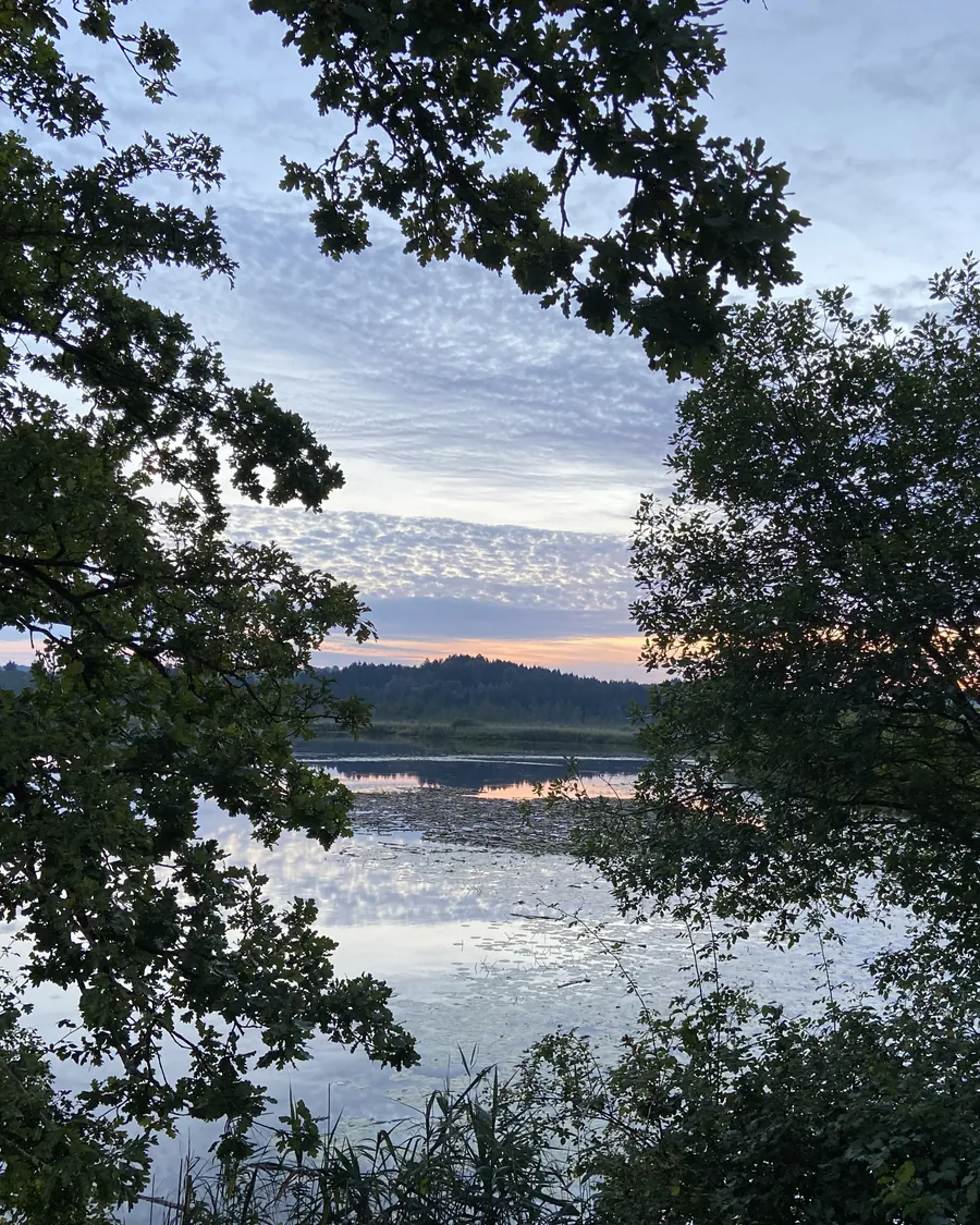 Zwischen dunklen Bäumen öffnet sich der Blick auf einen stillen See im Abendlicht, am Horizont ein heller Streifen