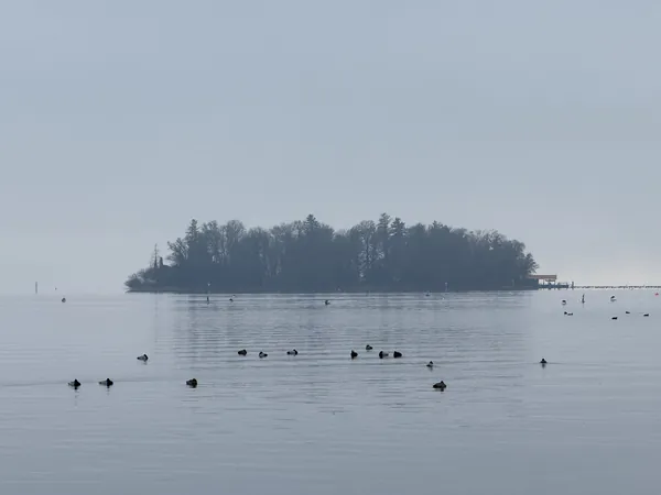 Eine bewaldete Insel liegt grau und verschwommen im Dunst über dem See