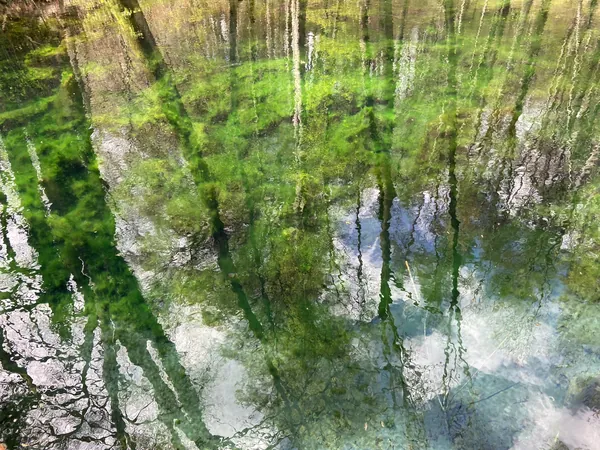 Bäume, Himmel und Wasserpflanzen spiegeln sich verzerrt und ineinander verwoben in bewegtem Wasser
